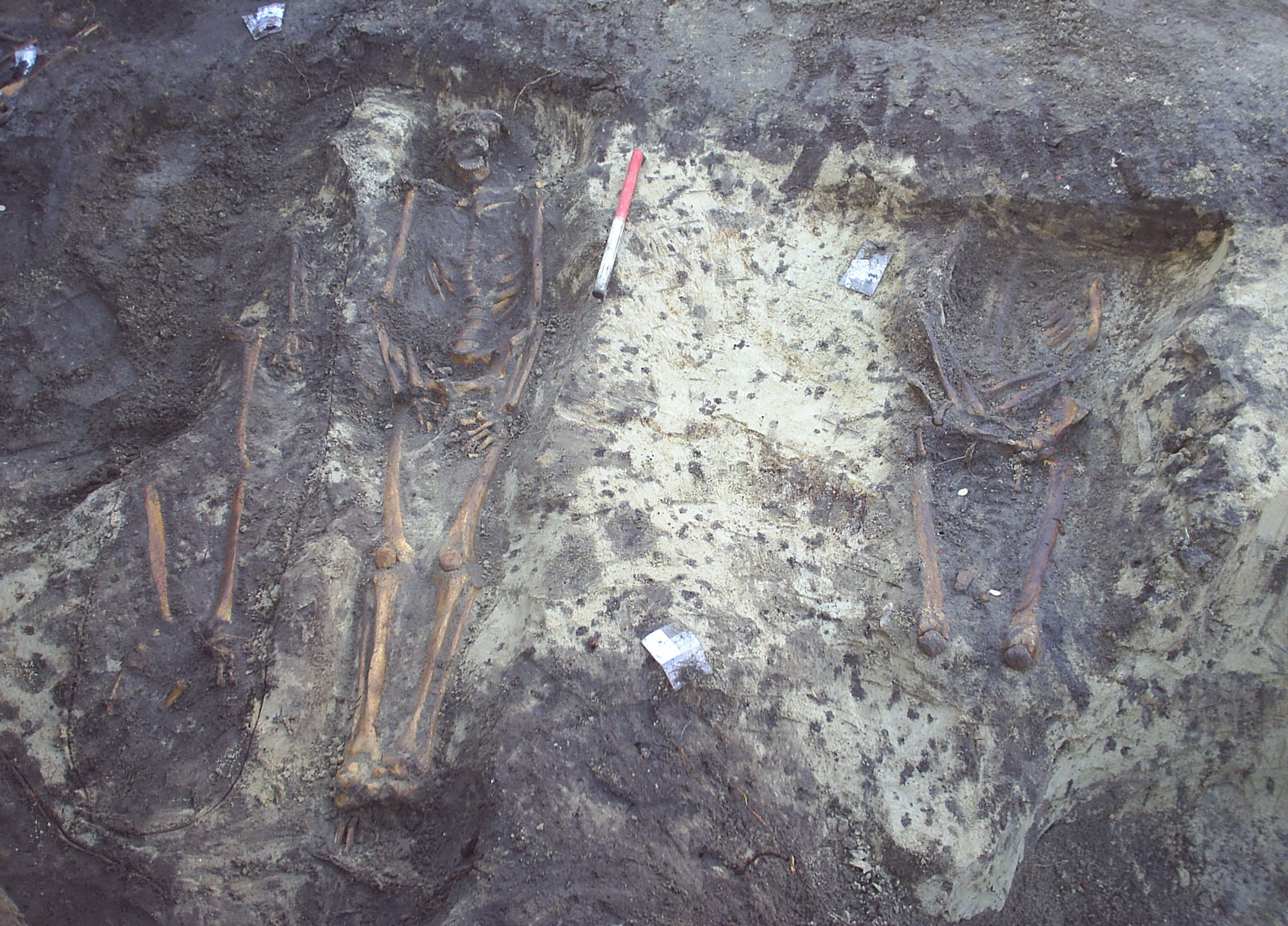 The City Dwellers - sct. Drotten.jpg