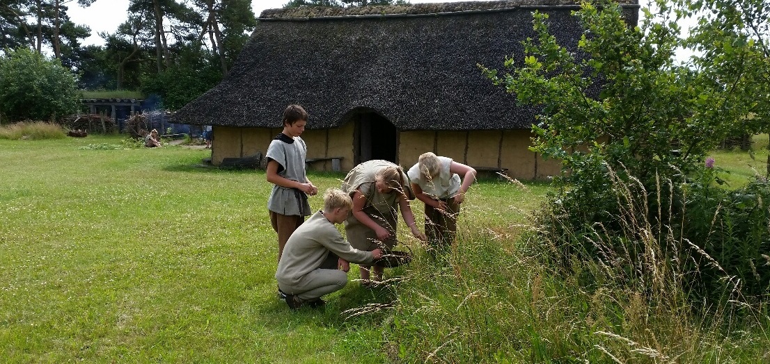 samling af urter2.jpg