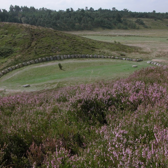 Lyng1.jpg