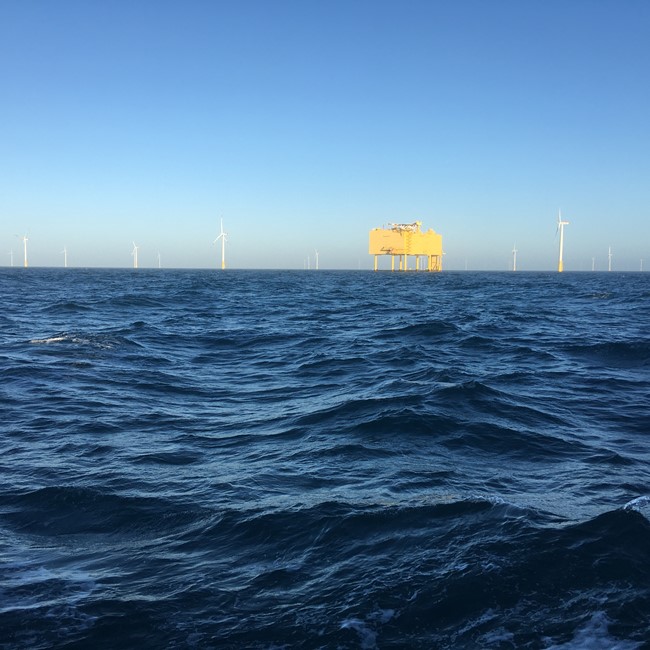 17. Foto Katrine J Andreasen Doggerland.JPG