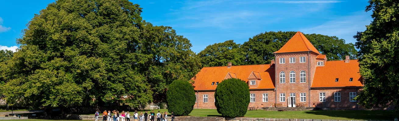 /media/4220/de-fem-halder-foto-jesper-maagaard-hald-hovedgaard-sommerdag.jpg