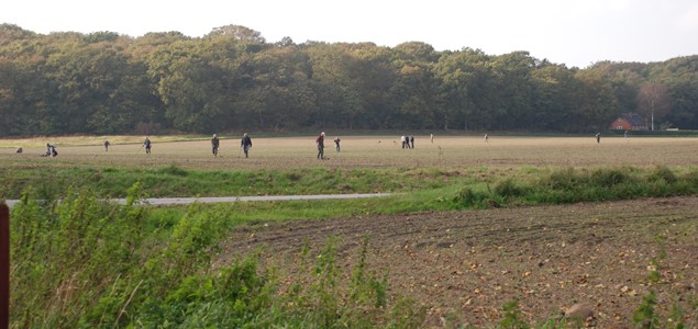 DSC_7316.JPG
