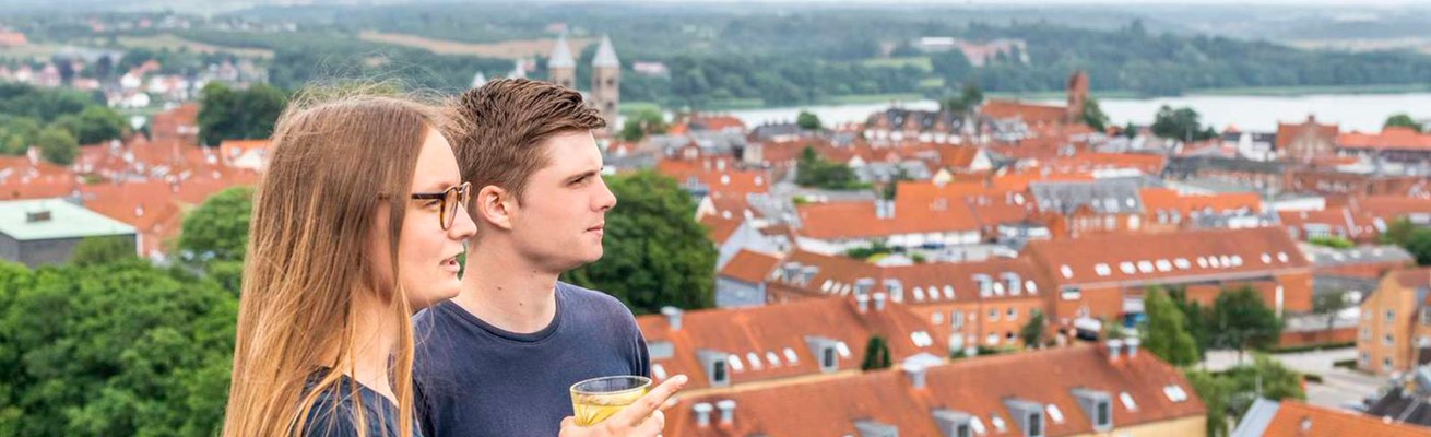 /media/4651/rooftop_peak12.jpg