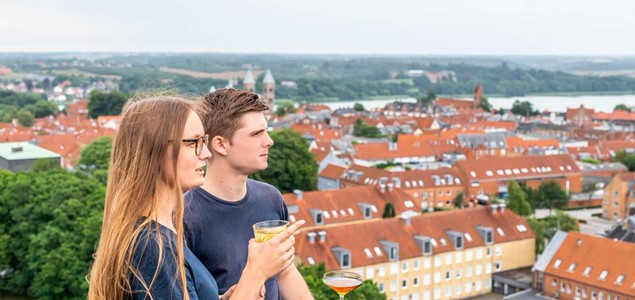 rooftop_peak12.jpg