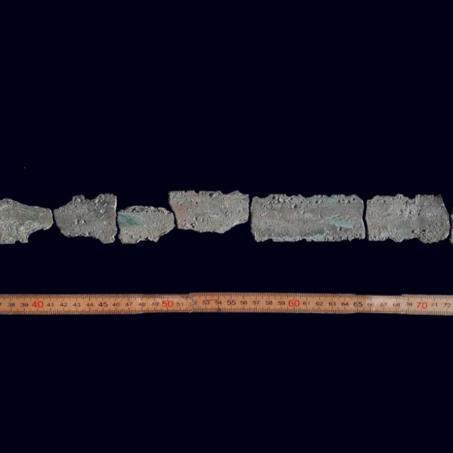 Månedensfund_maj2025_foto-Henrik Sahl Carlsen.jpg