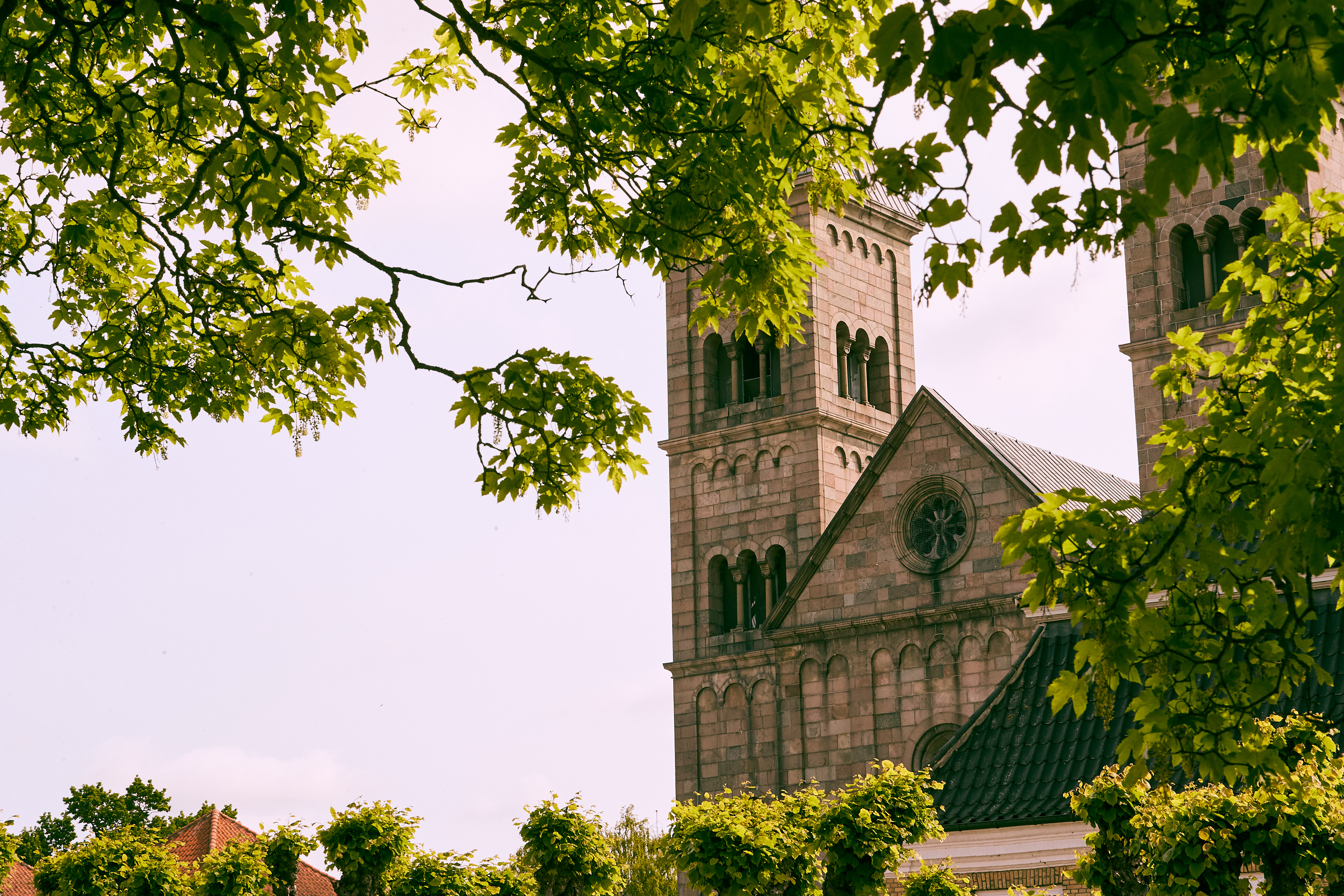 Toppen af DOmkirken_Nicolai Franzen_50I7629.jpg