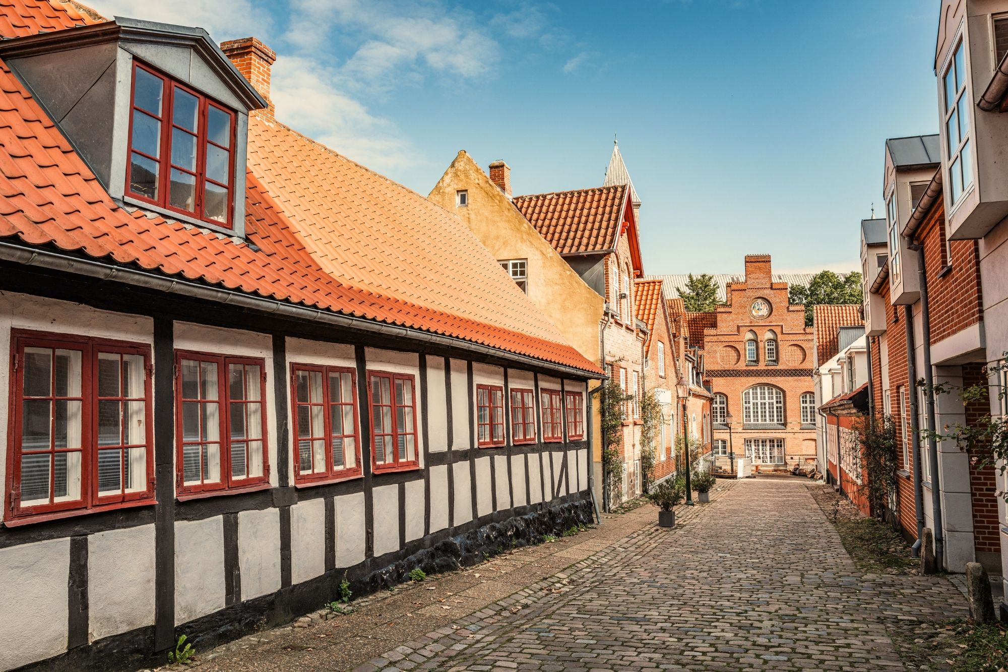 Da viborg brændte.jpg